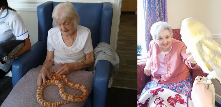  Cold blooded creatures bring warm smiles to care home 