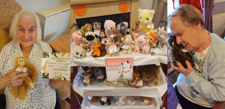 residents holding soft toy Animal