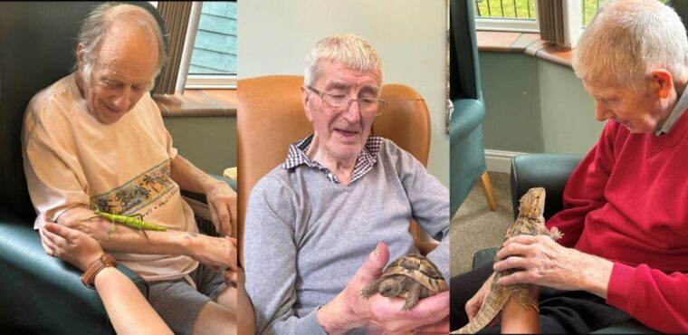  Elderly benefit from mini zoo experience at their Chesterfield care home 